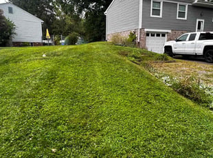 Theodore H.'s grass cutting service result
