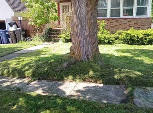 Vicki N.'s lawn care services service result
