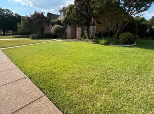 Elizabeth M.'s turf maintenance service result