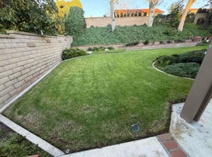 Grace M.'s lawn care service result