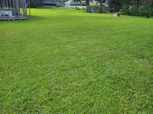 Sandra P.'s turf maintenance service result