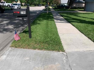 Helen V.'s turf maintenance service result