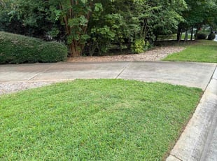 Antoine C.'s turf care service result