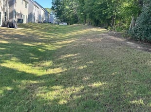 Charles B.'s grass cutting service result