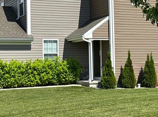 Kathy Z.'s turf care service result