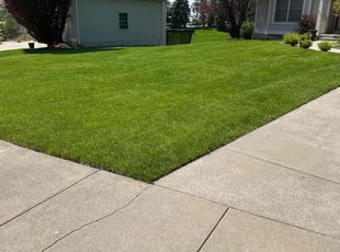 Megan R.'s grass cutting service result
