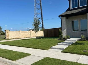 Ahmed E.'s turf care service result