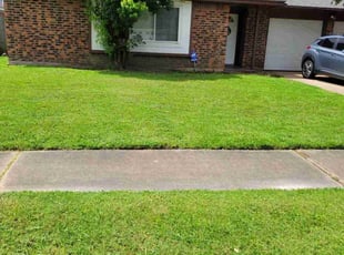 Robert F.'s lawn care services service result