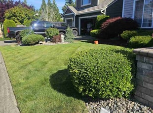 Michelle L.'s grass cutting service result