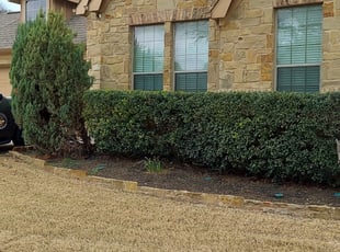 Tyler F.'s Bush Trimming service result