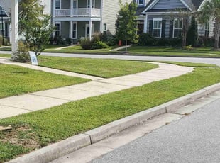 Sarah H.'s lawn care services service result