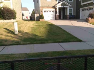 Michelle H.'s grass maintenance service result