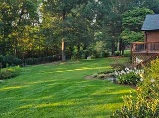 Nancy L.'s turf maintenance service result