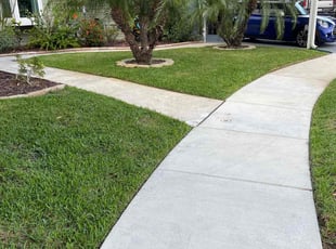 Candice A.'s grass cutting service result