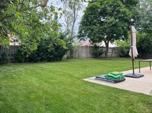 Diane M.'s lawn service service result
