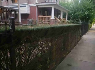 Madison H.'s Bush Trimming service result