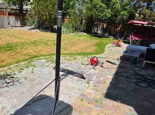 Sue M.'s grass cutting service result