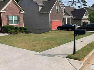 Donna R.'s grass maintenance service result