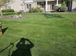 Steven M.'s lawn care service result