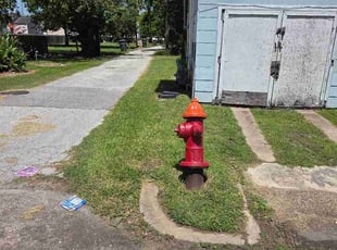 Arnold W.'s Long Grass Cleanup service result