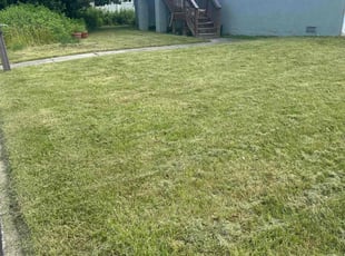 Christina R.'s lawn care services service result