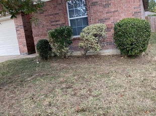 Mark K.'s Bush Trimming service result