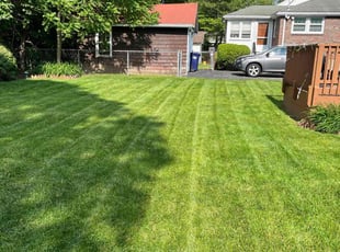 Corrie M.'s lawn care services service result