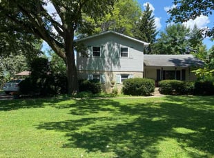 Denise A.'s lawn care service result