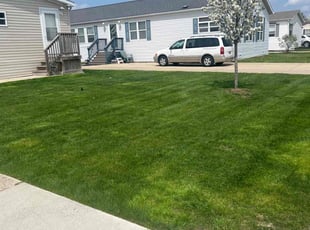 Courtney G.'s turf care service result