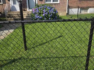Jennifer H.'s turf care service result