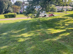 Ardis N.'s grass cutting service result