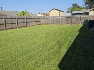 Donecia S.'s grass cutting service result