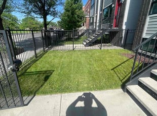 Terry S.'s turf care service result