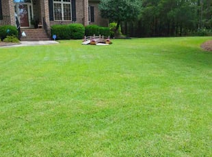 Kody A.'s lawn maintenance service result