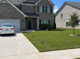 Rico F.'s grass maintenance service result