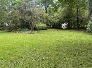 Jean S.'s turf maintenance service result