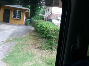 Lillie A.'s Bush Trimming service result