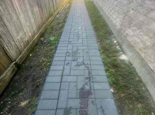 Samantha E.'s turf maintenance service result