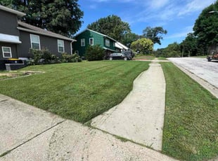 Ambra B.'s lawn care service result