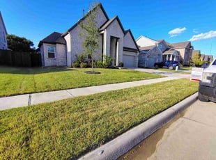 Alicia O.'s lawn care services service result
