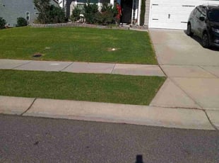 Carol G.'s turf care service result