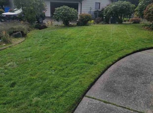 Jennifer B.'s turf maintenance service result