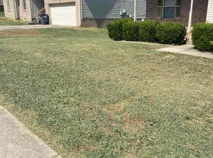 Carlton W.'s turf care service result