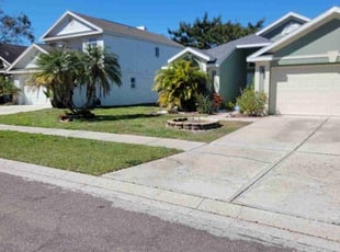 Monica L.'s lawn care service result