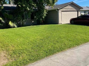 Tracie E.'s lawn care services service result