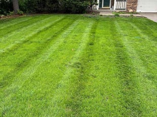 Johnnie A.'s turf maintenance service result