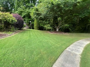 Evelyn B.'s turf maintenance service result