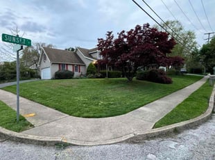 Bryan A.'s grass cutting service result