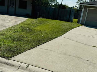 Wanda A.'s grass cutting service result