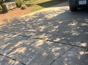 Darlene C.'s lawn service service result